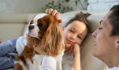 Why We Can't Treat Dogs Like Humans (Even Though They're Part of the Family!) | Family Health Diary