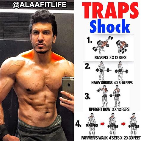 🔥The Best Trap Workouts & Exercise Guides - weighteasyloss.com ...