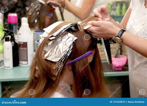 Hairdresser Coloring Hair in Studio Stock Image - Image of people, copy ...