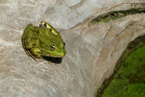 Naked+Anime+Girls+Wallpapers+For+Pc Photos, Download The BEST Free ...