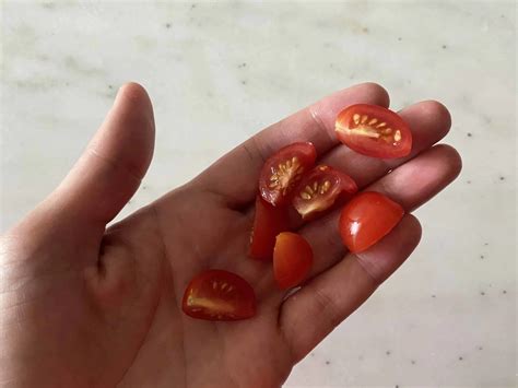 When Can Babies Eat Tomatoes? - Solid Starts
