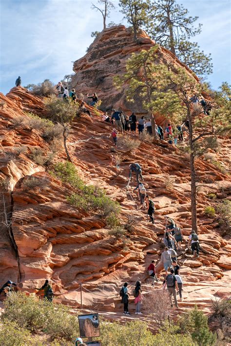 Want to hike Angels Landing in Zion National Park? Apply for your ...