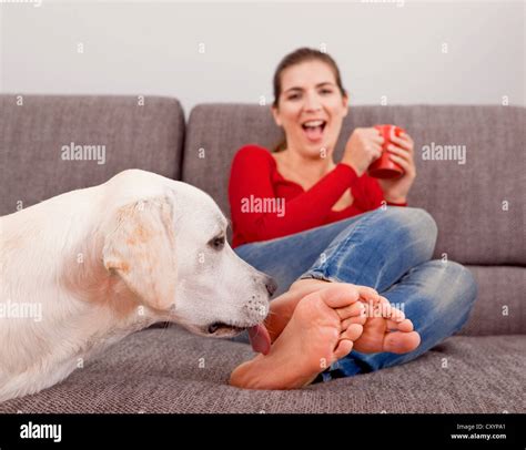 Woman drinking coffee on the sofa with her dog licking her toes Stock ...