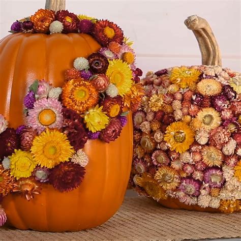 19 FALL Season ideas | pumpkin decorating, fall decor, pumpkin flower