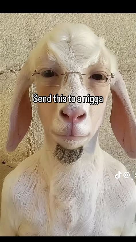 Shop Now 🛍️ | Send this to that nigga #meme #funny #fyp #fun #memes # ...