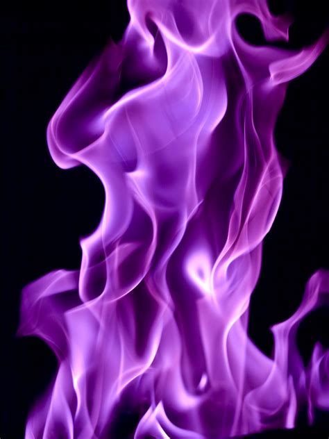 Free Images : glowing, purple, petal, fire, glow, colorful, pink, heat, energy, flare, study ...