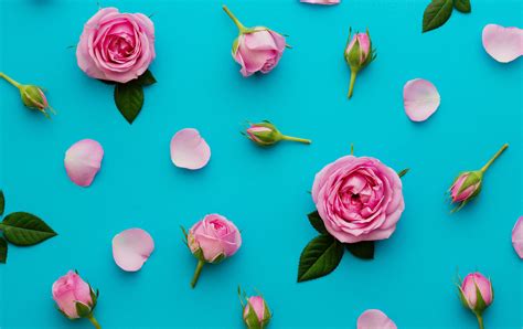 Email Online Bridal Shower Invitations that WOW! | Greenvelope.com