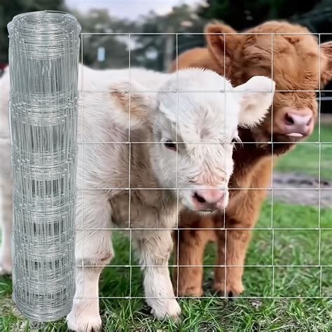 Amazon.com : Thickened Farm Fence 4ft x 164ft Heavy Zinc Coating Cattle Fence,Galvanized Field ...