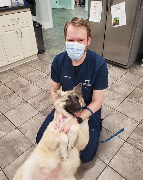 Gallery | Hemlock Bluffs Animal Hospital