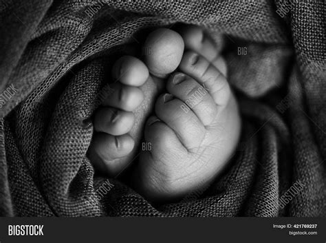 Photo Legs Newborn. Image & Photo (Free Trial) | Bigstock