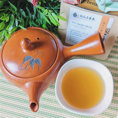 Sakura Sessions - Obubu Tea Farms - Hoji Sakura Sencha - Kimberley's Kyusu