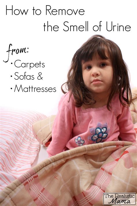 How to Get Rid of Urine Smell From Carpets, Sofas, and Mattresses - The ...