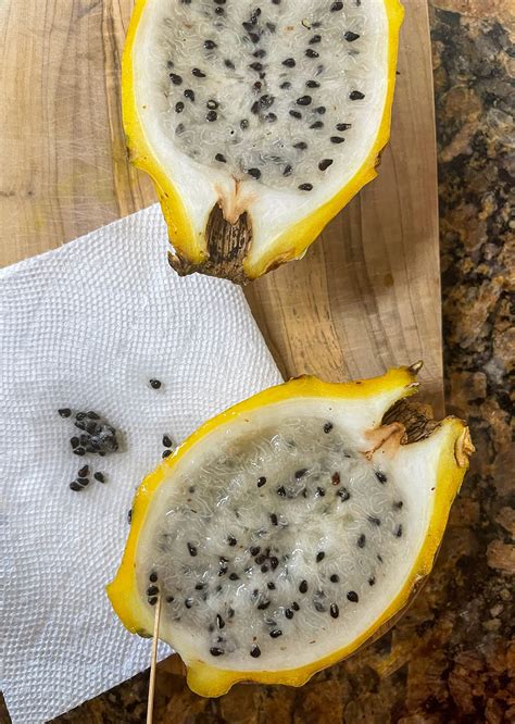 How To Grow Dragon Fruit Tree From Seeds at Hazel Phillips blog