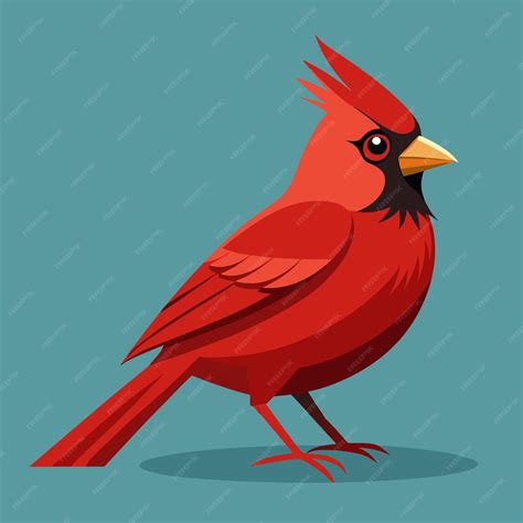 Cardinal Bird Clip Art Vektor-Illustrationsdesign | Premium KI ...