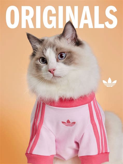 adidas Originals launches Pet Collection for four-legged friends