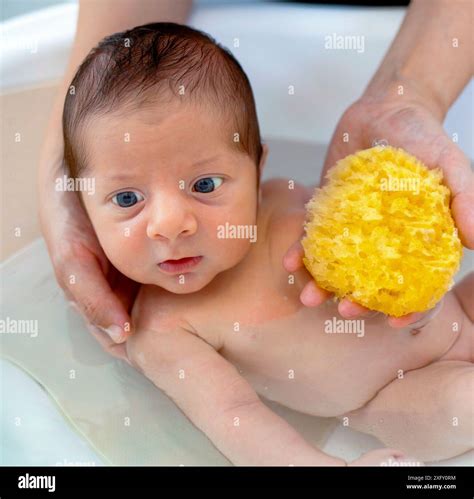 First bath of newborn baby boy.The mom washes the baby with natural ...