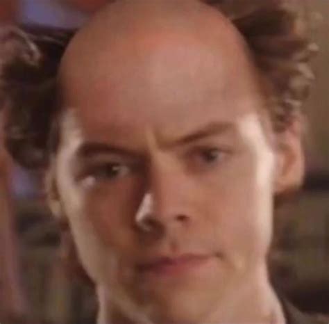 bald👨‍🦲 | Bald Harry Styles / Harry Styles' Buzz Cut | Know Your Meme
