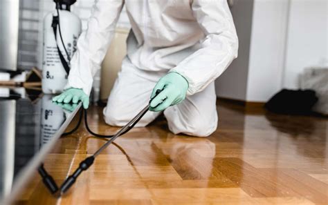 How much does it cost to hire a pest control team in London ...