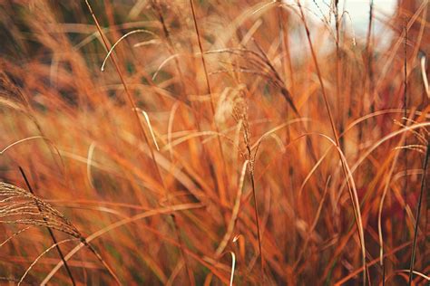 Questions and Answers About Explosive Anger Disorder | Carrollton Christian Counseling