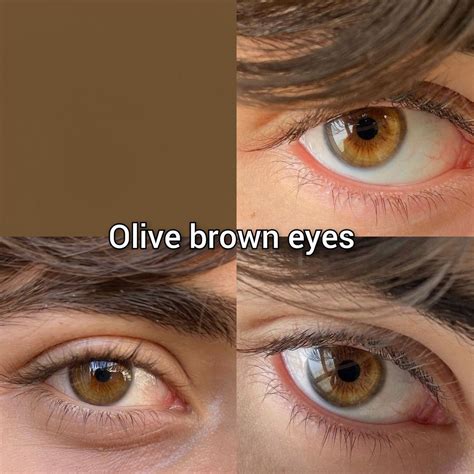 Pin by Ruaa Hasan on Quick Saves in 2025 | Shades of brown eyes ...