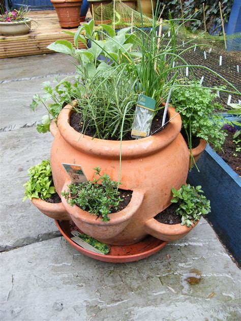 How To Plant An Herb Container Garden