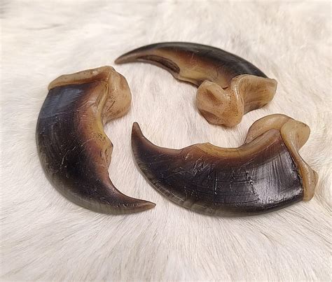 Polar Bear composite claws - Centralia Fur & Hide
