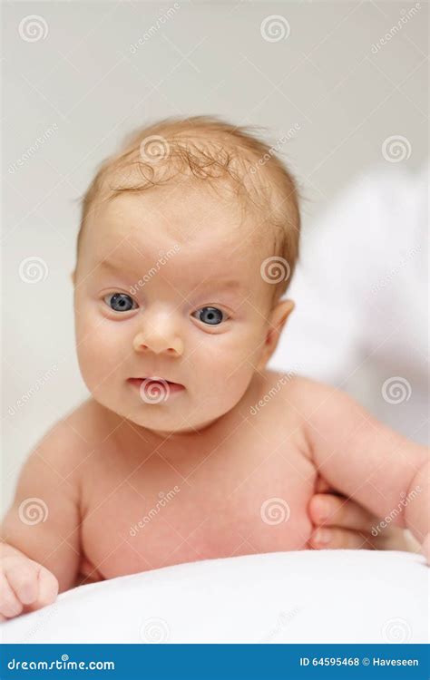 Two months old baby stock photo. Image of child, caucasian - 64595468