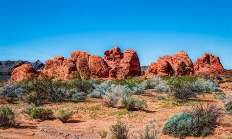 Famous Deserts In Nevada at Alana Walden blog