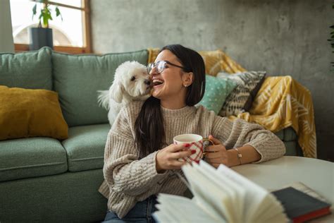 Best Apartment Dogs: Quiet, Low-Energy Dog Breeds Perfect for Renters