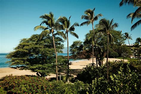 Big+Butts+In+Thongs Photos, Download The BEST Free Big+Butts+In+Thongs ...