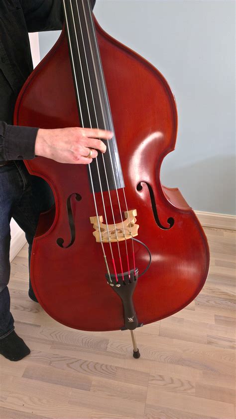 Double String Bass Guitars at Krystal Russell blog