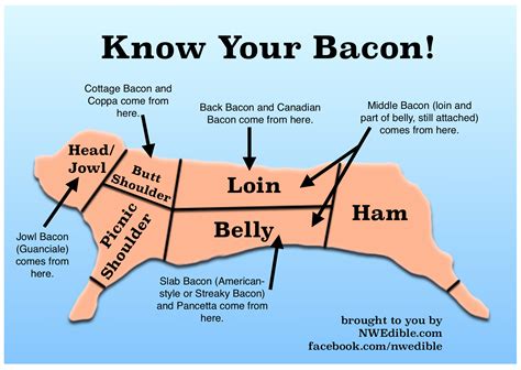 What Part Of The Pig Does Bacon Come From
