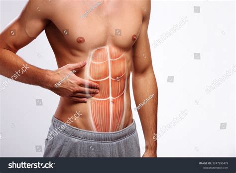 Stomach Pain Stomach Muscles Injury Male Stock Photo 2247295479 | Shutterstock