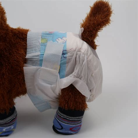 Dog Diapers While Potty Training at Isabel Lacey blog