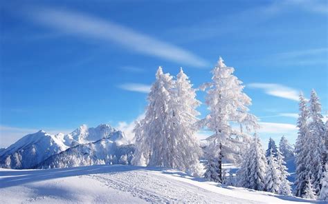 Winter Wonderland Wallpapers - Top Free Winter Wonderland Backgrounds ...