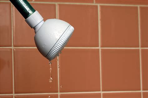 What Can Causes A Leaking Shower Head at Gary Delariva blog