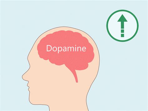 Why Do People Smoke Cigars? 10 Common Reasons