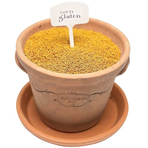 How to get rid of crabgrass a step by step guide – Artofit