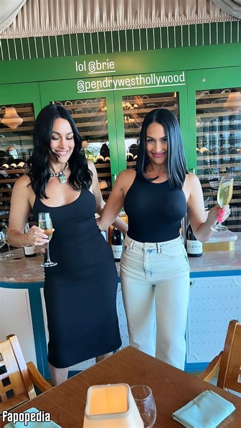 The Bella Twins Nude Leaks - Photo #1578878 - Fapopedia