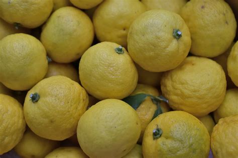 What Does Yuzu Taste Like? The Facts - The Kitchen Journal