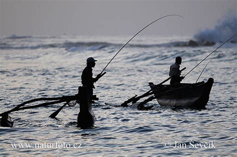 AMBIL SEKARANG