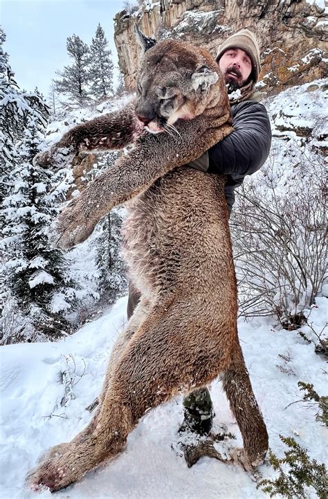 Derek Wolfe, ex-Broncos player, kills huge mountain lion in Colorado ...