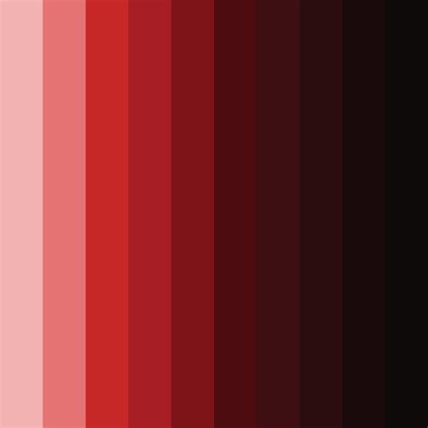 Dark Red and Black Color Palette - ColorDrop
