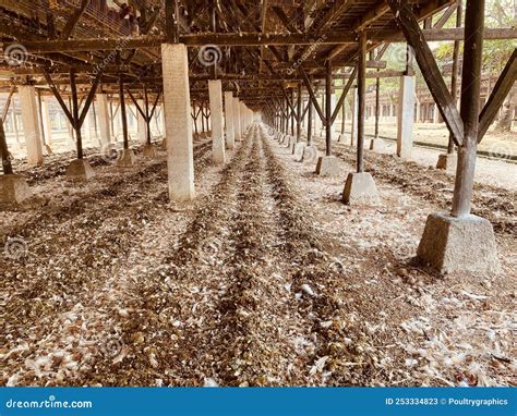 Poultry Manure Stock Photography | CartoonDealer.com #31730696