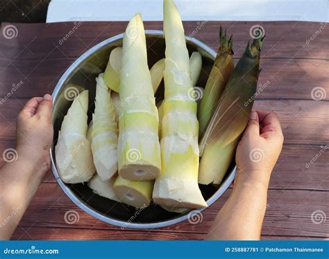 Close-up of Fresh Bamboo Shoots for Cooking Organic Vegetables Stock ...