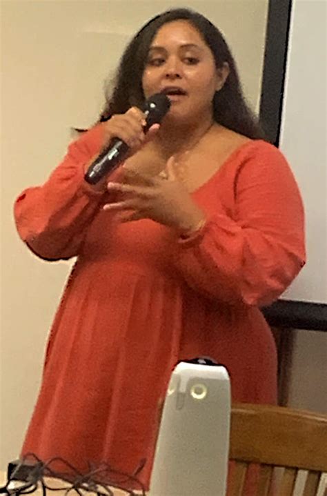 McKinley Park News - 35th Street Upzoning Focus of Cross-Ward Meeting