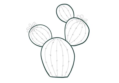 Cactus Drawing Outline