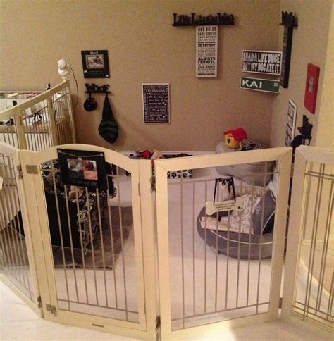 Best Flooring For Dog Pen