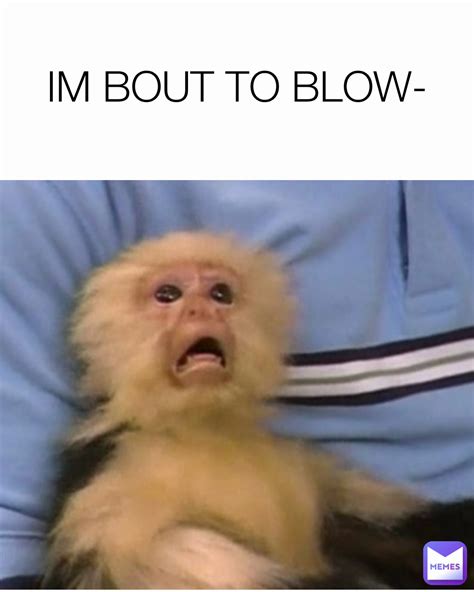 IM BOUT TO BLOW- | @gabezdubz | Memes