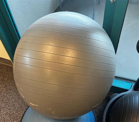 BIG EXERCISE BALL | AllSurplus